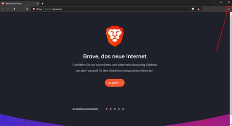 brave browser custom proxy, The brave browser