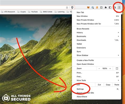 brave browser netflix, Brave browser for ios gains new 'privacy hub' and enhanced