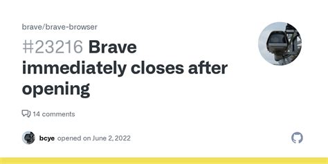 brave browser opens and closes immediately, Brave browser for ios gains new 'privacy hub' and enhanced