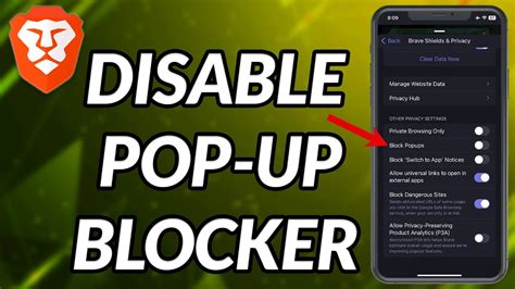 brave browser pop up blocker, Browser brave. 10 best pop-up blocker for android (firefox, chrome and uc browser)