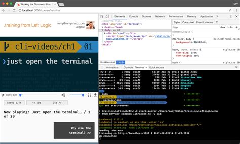 browser on terminal, 