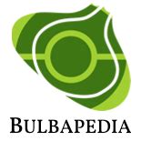 Bulbapedia Diamond Walkthrough