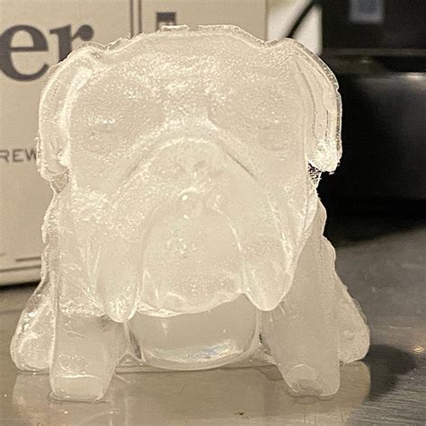 bulldog ice mold