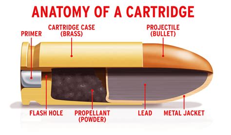 bullet cartridge diagram 