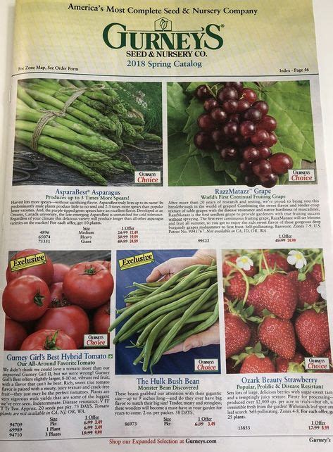 Burpee Seed Catalogue