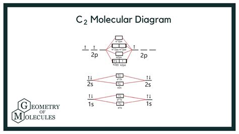 c2 diagram 