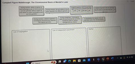 Campbell Figure Walkthrough Two Important Checkpoints