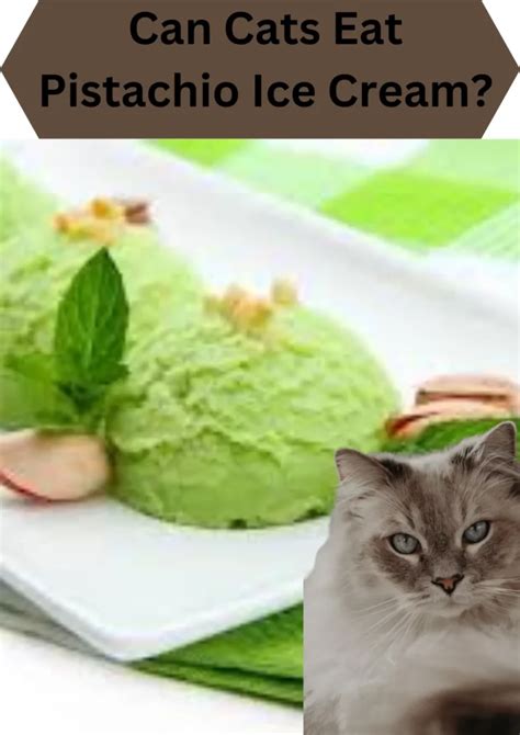 can cats eat pistachio ice cream