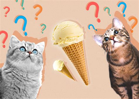can cats eat vanilla ice cream