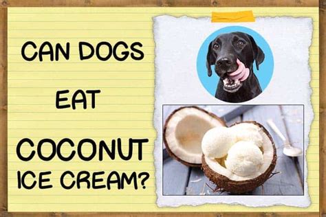 can dogs have coconut ice cream