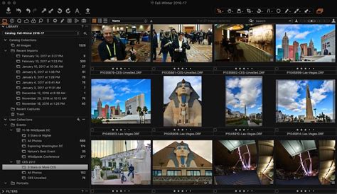 Capture One Catalog Management