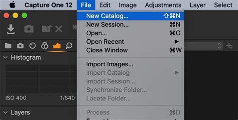 Capture One Import Catalog