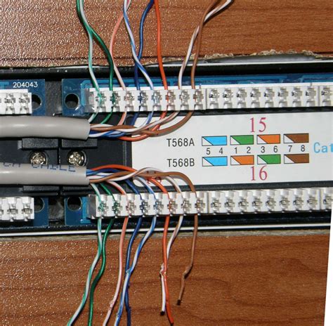 cat 5 patch panel wiring diagram 