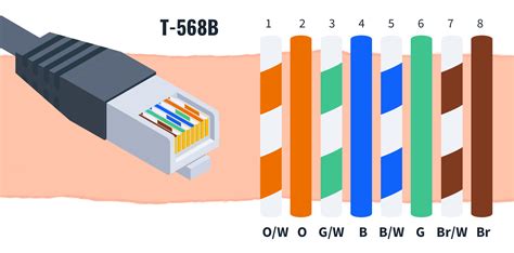 cat 5 t568b wiring diagram 