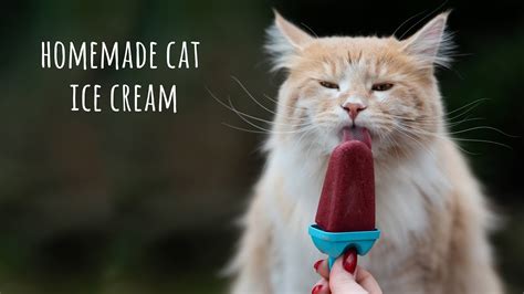 cat ice cream recipe