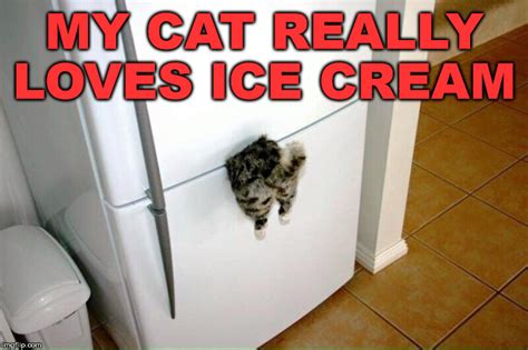 cat ice maker