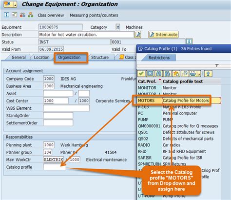 Catalog In Sap Pm
