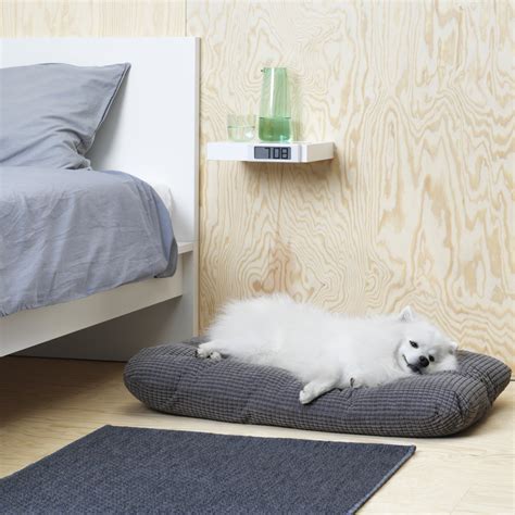 Catalogue Ikea Chien