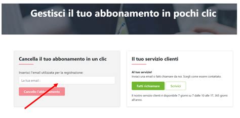 ccleaner gestisci abbonamento, Infotecnonews: maggio 2010. Ccleaner in italiano