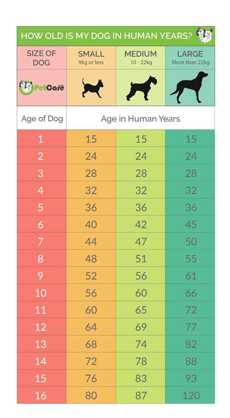 Chart Of Dog Years