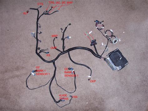 chevy lt1 engine wire harness 
