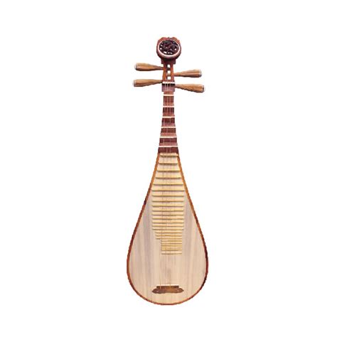 chinese plucked string instruments, Chinese plucked string instruments