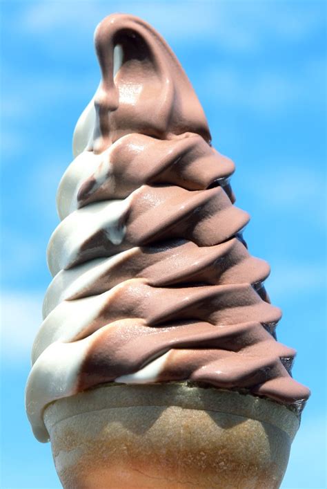 chocolate and vanilla swirl ice cream