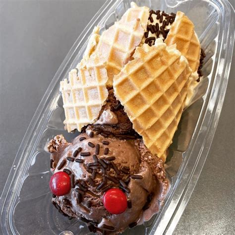 cicada ice cream
