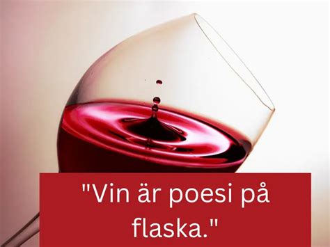 citat om vin