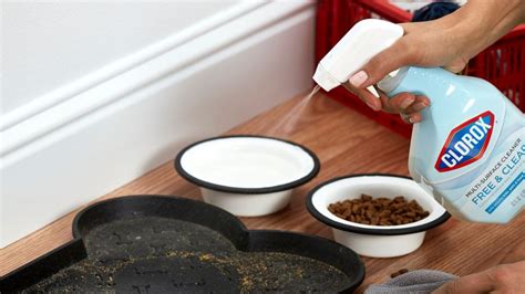 cleaner safe for pets, Kid safe, pet safe 5-in-1 all purpose cleaner, ready to use, 32 oz. 6 best pet safe floor cleaner