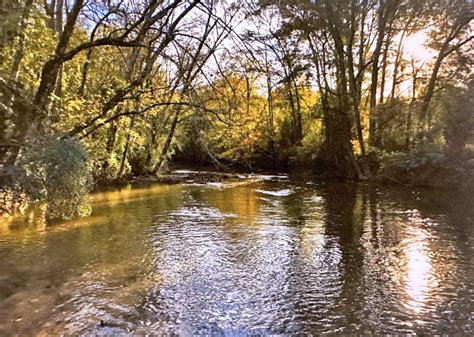 Clemson Summer Course Catalog