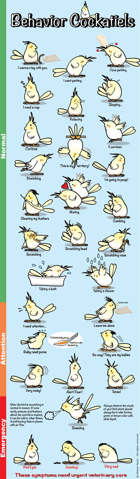 Cockatiel Mood Chart