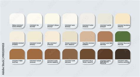 coconut brown color code, Coconut schemecolor. Coconut brown tones color scheme » brown » schemecolor.com