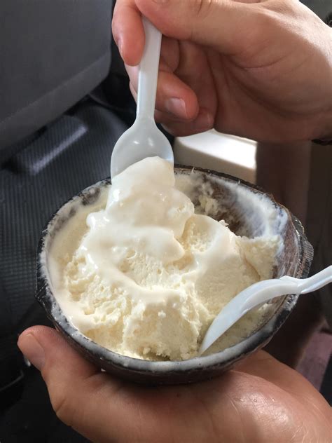 coconut ice cream in coconut shell