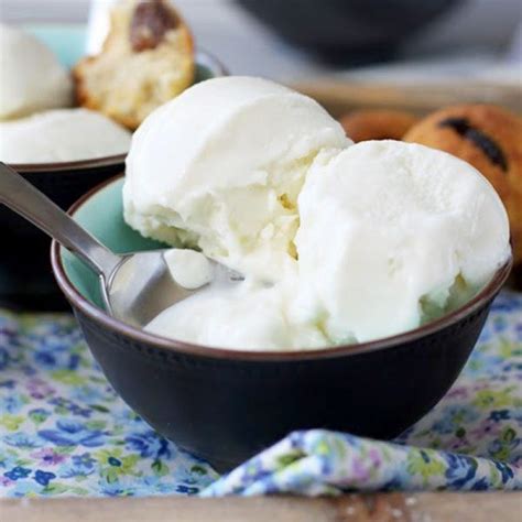 coconut milk ice cream recipe with ice cream maker