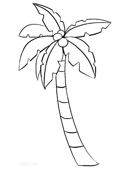 coconut tree coloring pages, Coloring pages