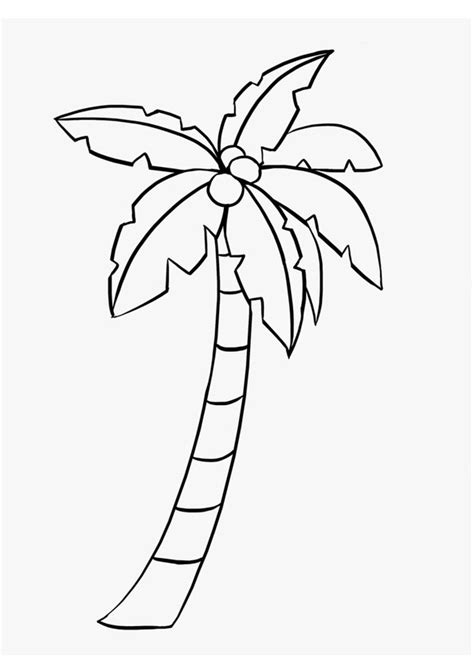 coconut tree coloring sheet, Coconut tree isolated coloring page for kids 26493201 vector art at