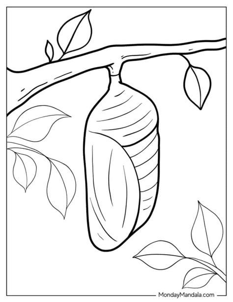 cocoon coloring page printable, Cocoon coloring page at free printable colorings