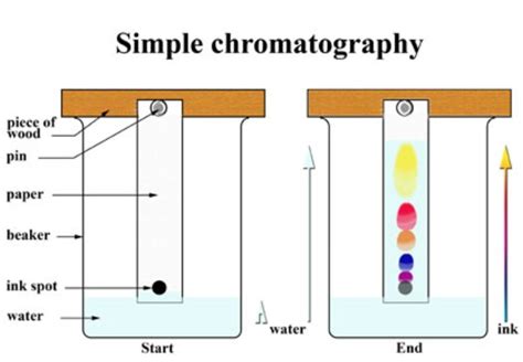 color chromatography diagram 