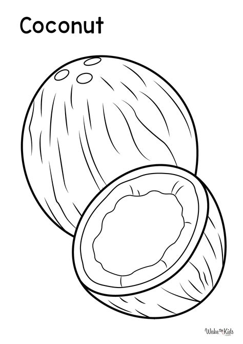 coloring image of coconut, Coconut coloring pages printable pdf