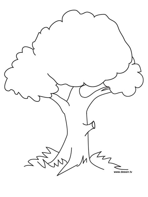 coloring pages of trees, Tree coloring pages free printable