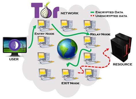 connected to the tor network, 