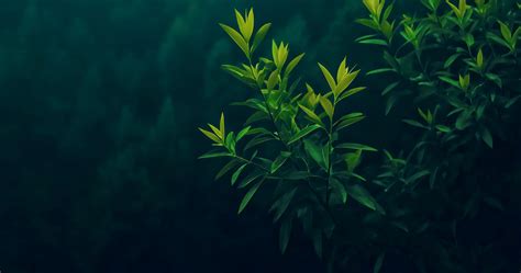 copyright free background hd, Free hd background wallpaper