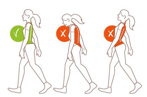 correct walking posture, Correct walking posture stock illustrations – 54 correct, 56% off