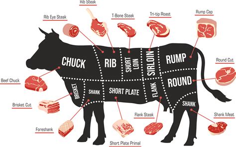 cow meat diagram 