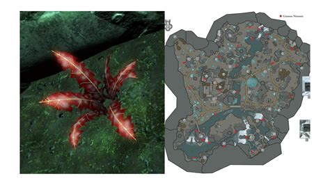 Crimson Nirnroot Walkthrough