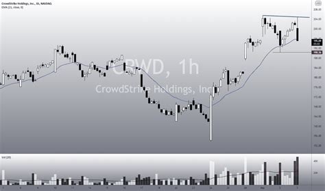 Crwd Stock Chart