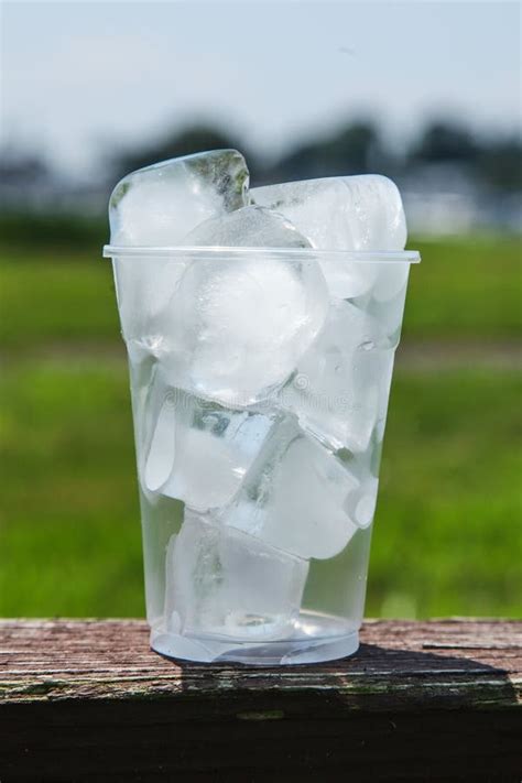 cup with ice