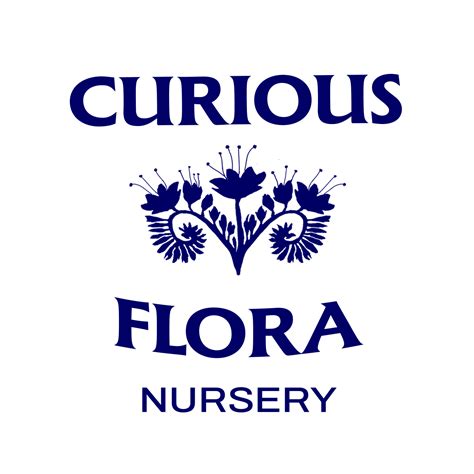Curious Flora Nursery Catalog