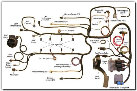 custom wiring harness for s10 